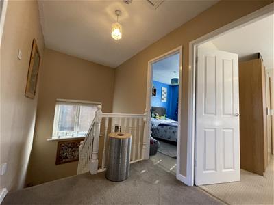 Picture 11